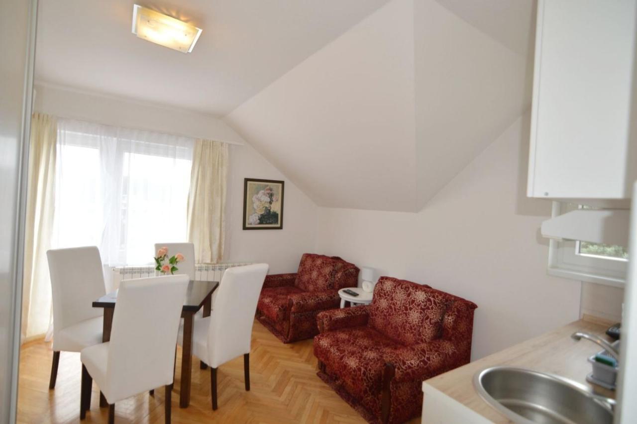 Suncani Breg Apartments Vrdnik Buitenkant foto